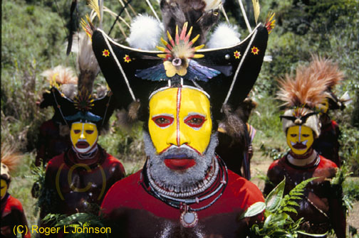 Wuli Wigman warrior, New Guinea